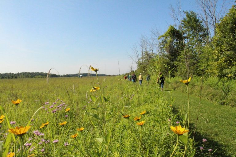 A lush prairie scene with hikers walking through at Cricket Frog Cove.